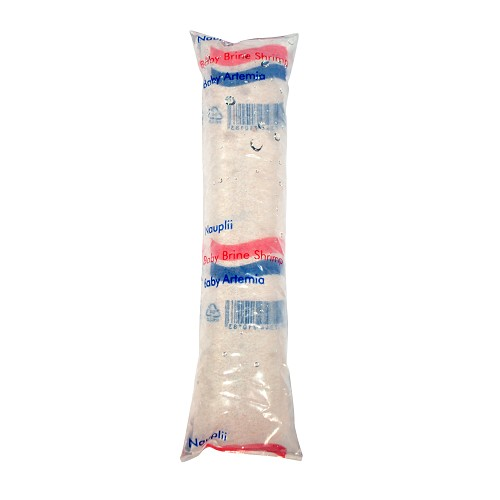 Nauplii baby-brine shrimp