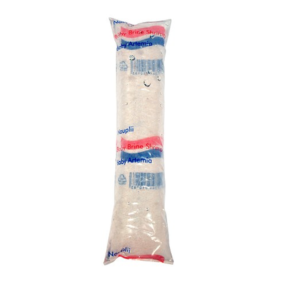 Nauplii baby-brine shrimp