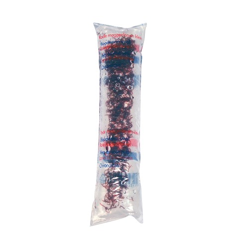 Red mosquito larvae