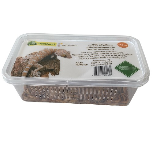 Mealworms