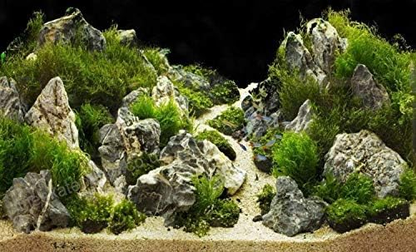 Grey mountain stone