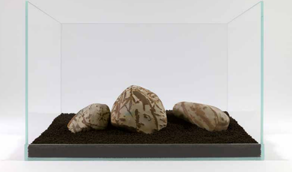 Shodo steen