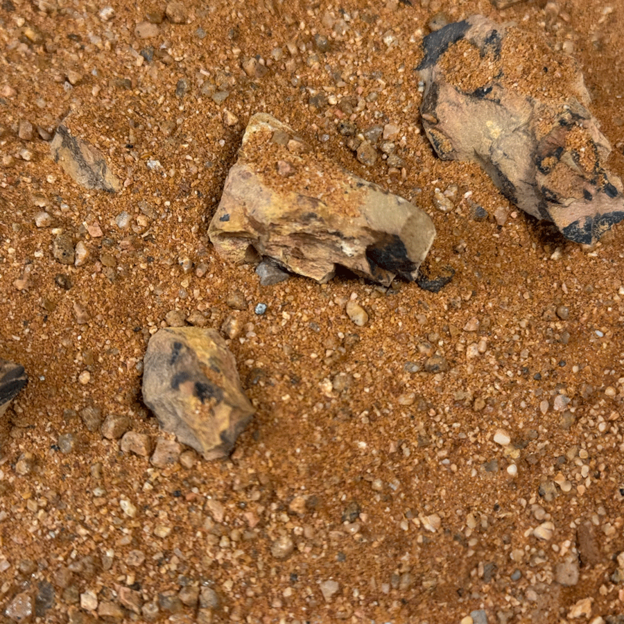 Wio Golden Dragon Riverbed