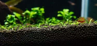Flora Base Pro Coarse Black