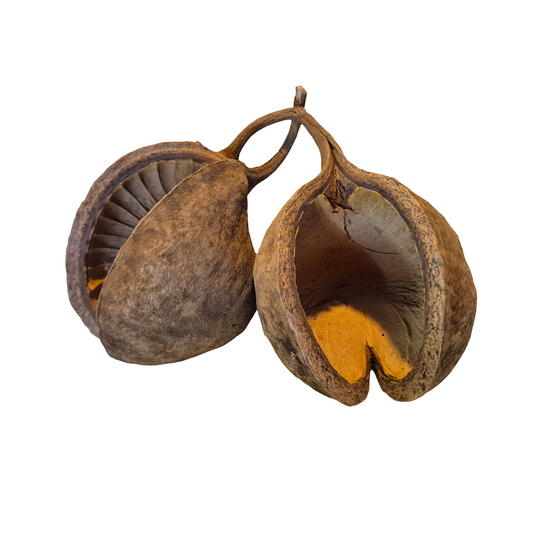 Buddha pods