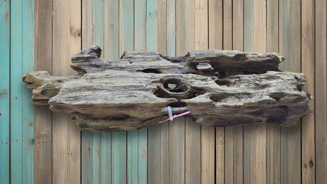 Dragonwood