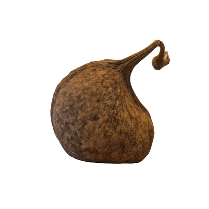 Buddha pods