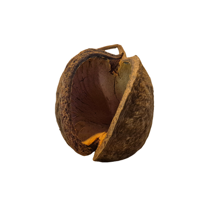 Buddha pods