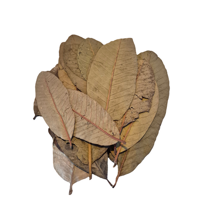 Guave blad