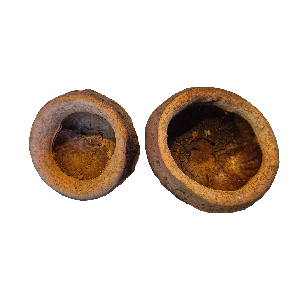 Chapeuzinho pods
