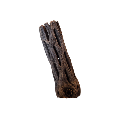 Cholla wood
