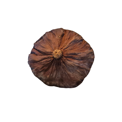 Lotus pods