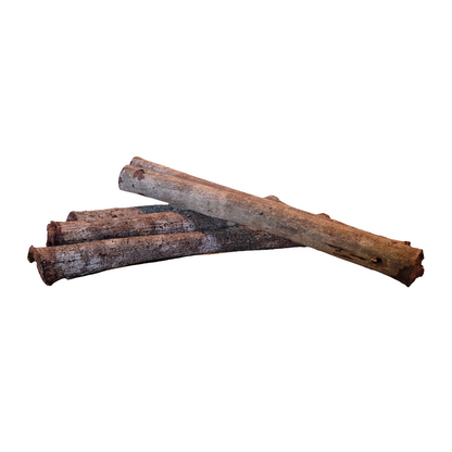 Catappa hout