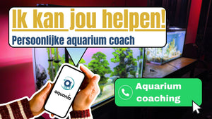 Premium Aquarium Coaching Whatsapp