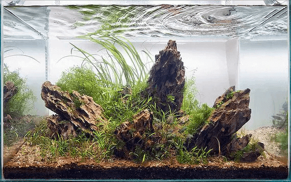 Dragon stone