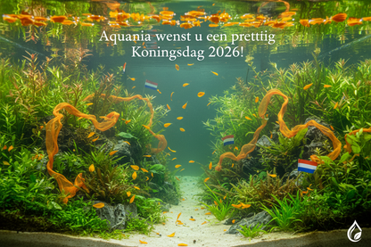 Het Oranje Pakket