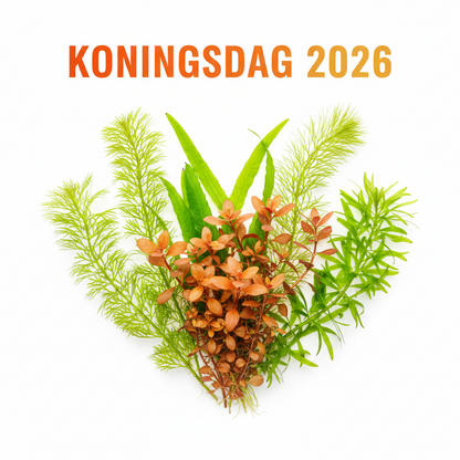 Het Oranje Pakket