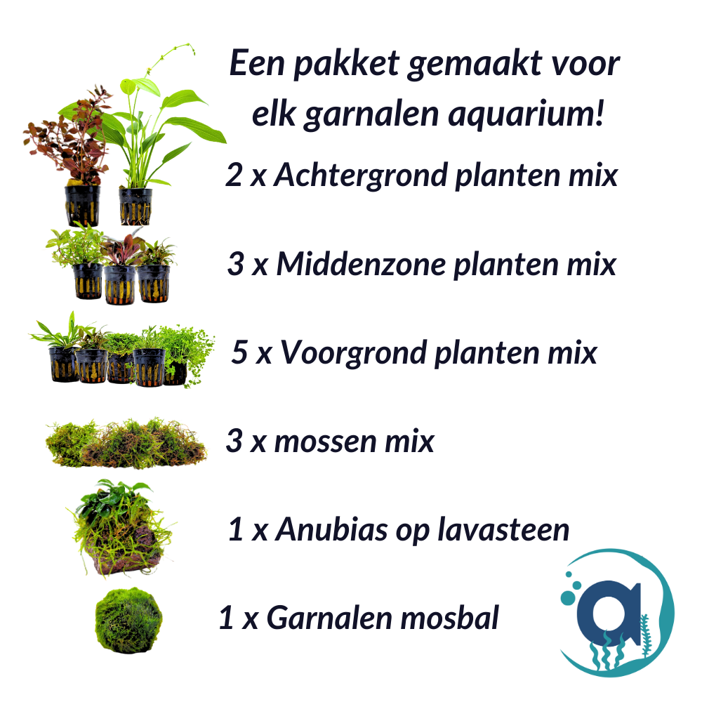 Garnalen planten pakket