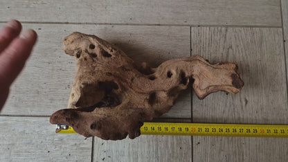 Mopani MP21