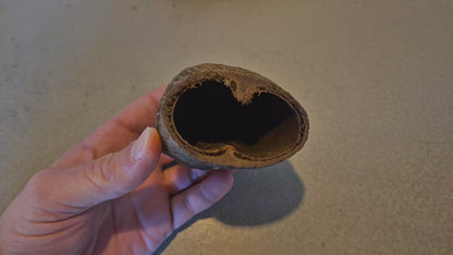Palm pods