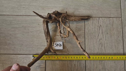 Spiderwood dark SP20