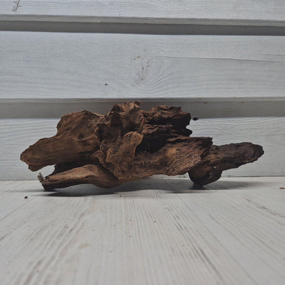Mangrove Small