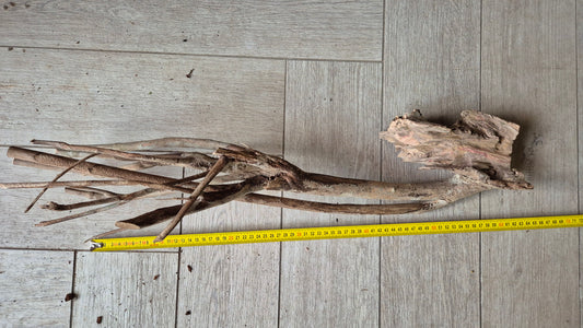 Talawa hout T2