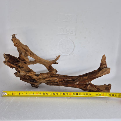 Mangrove MN-03