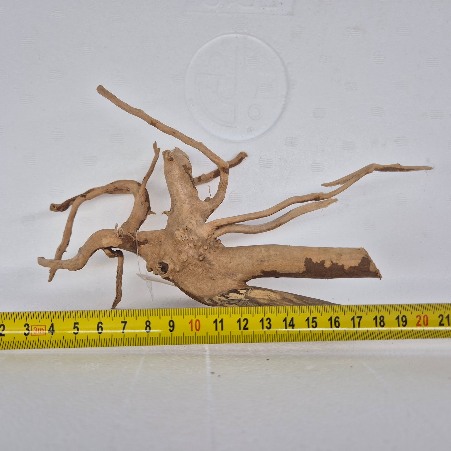 Spiderwood red SP25