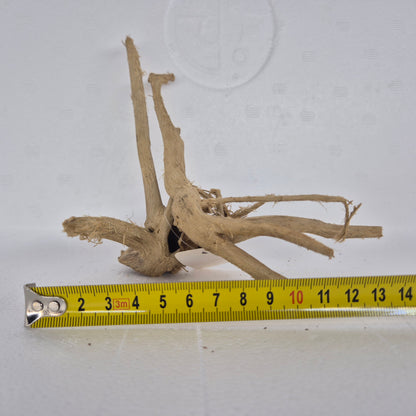 Spiderwood red SP28