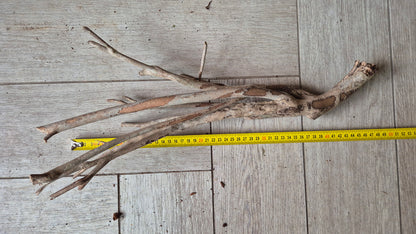 Talawa hout T3