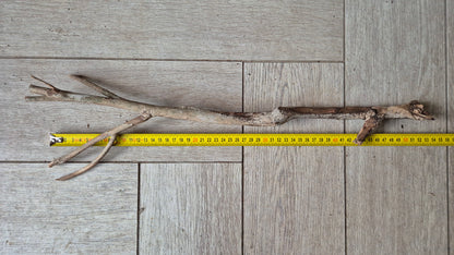 Talawa hout T1