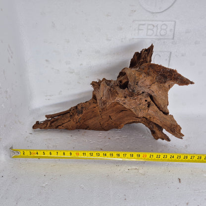 Mangrove MN-20