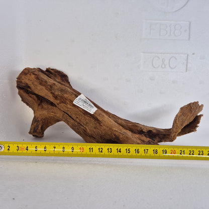 Mangrove MN-05