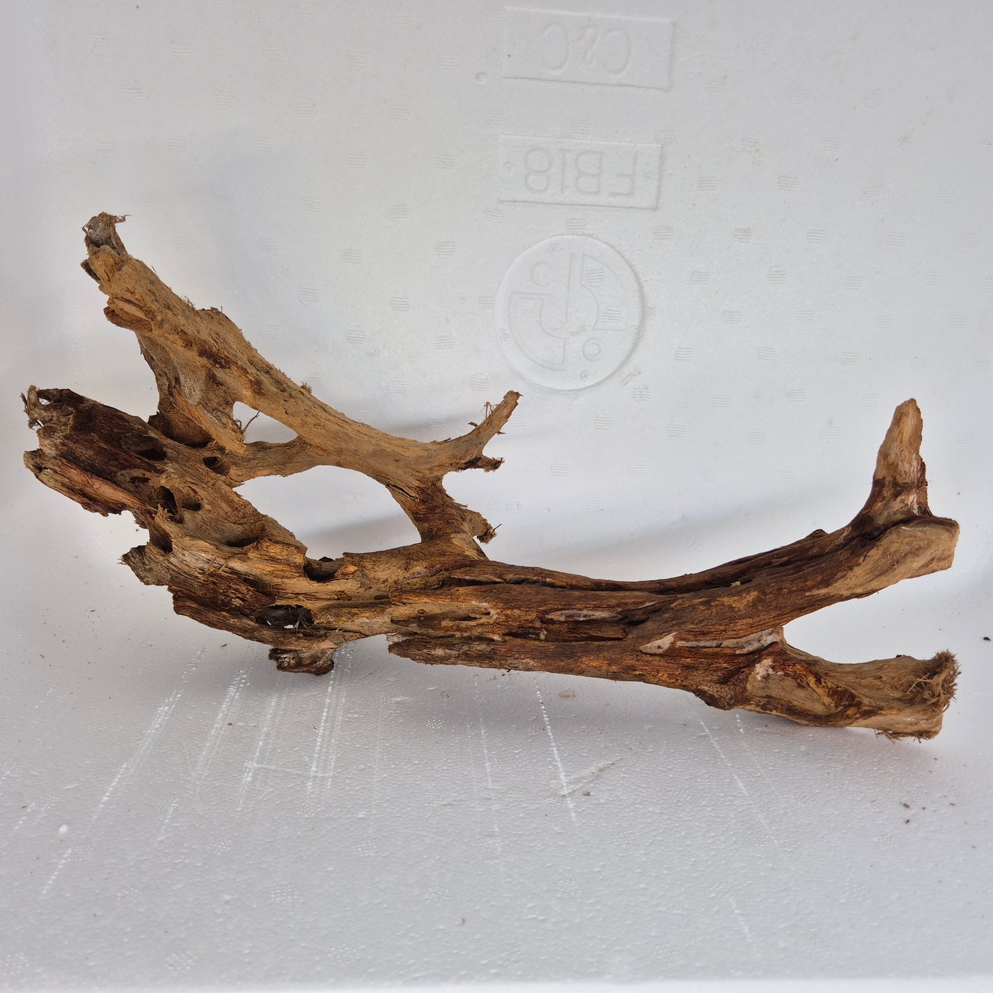 Mangrove MN-03