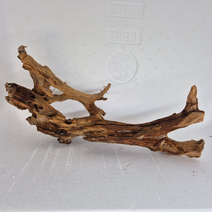 Mangrove MN-03