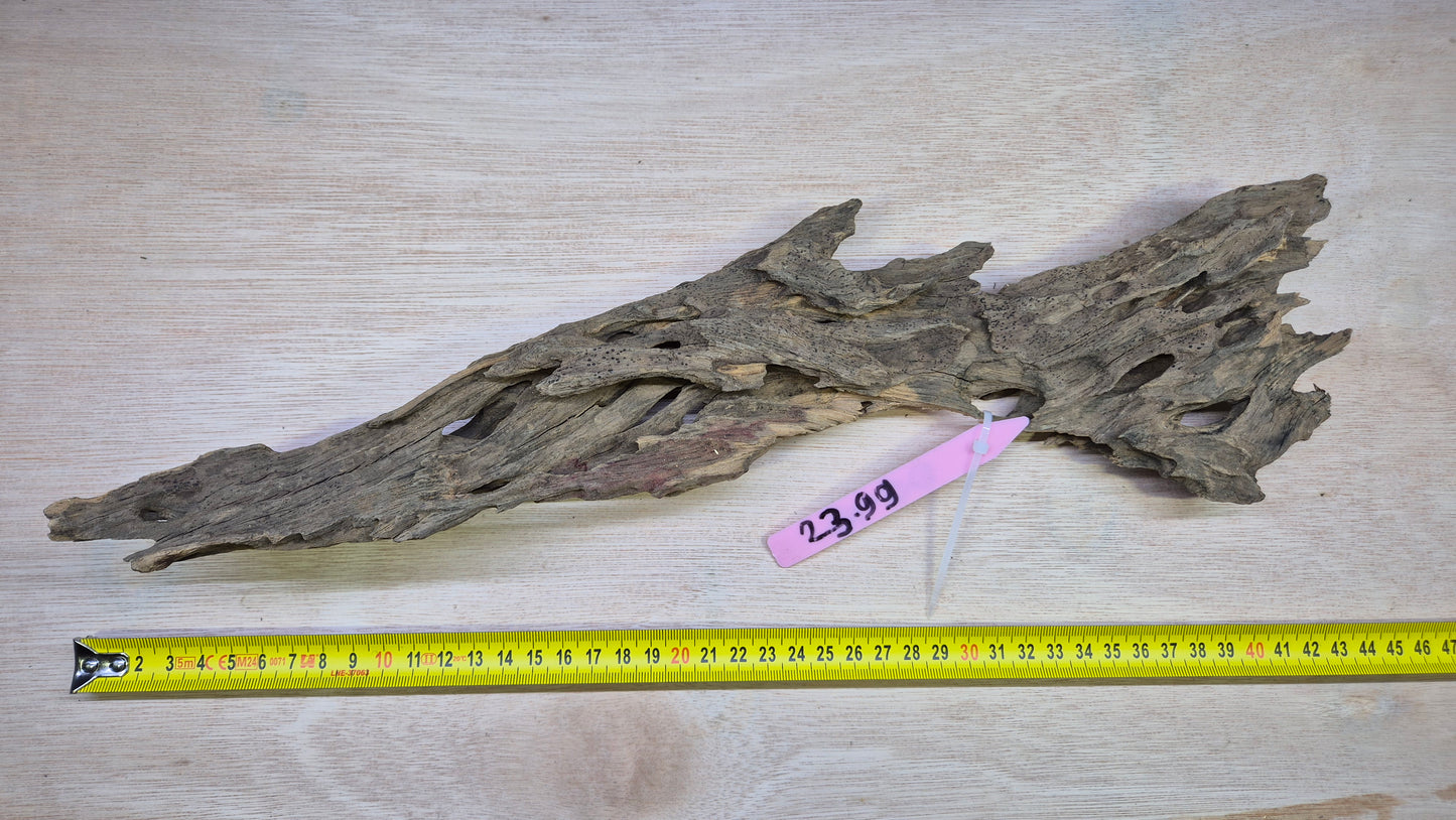 Dragonwood