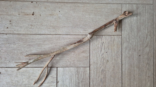Talawa wood T1