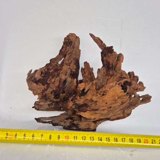 Mangrove MN-02
