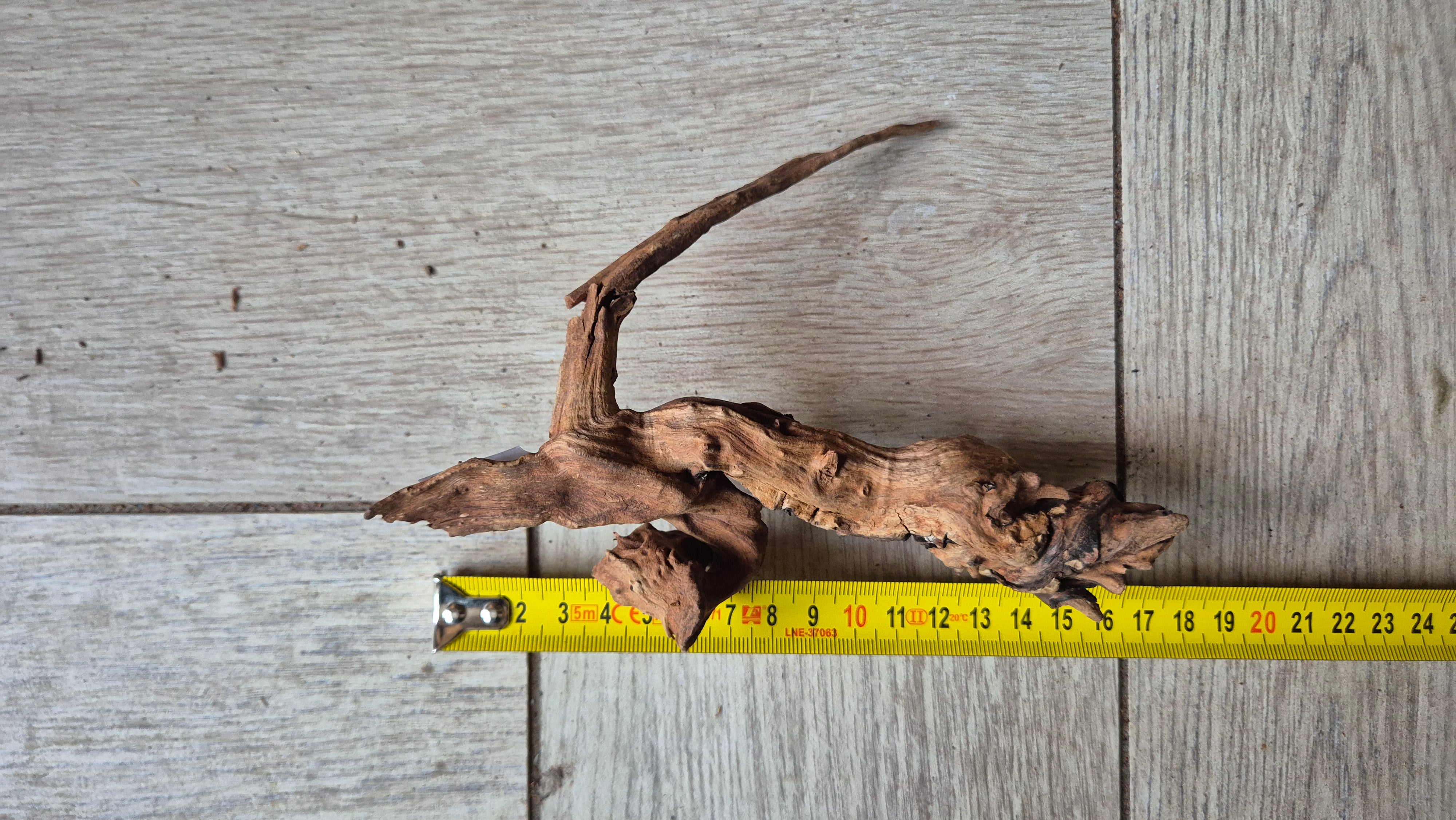 Spiderwood dark SP19